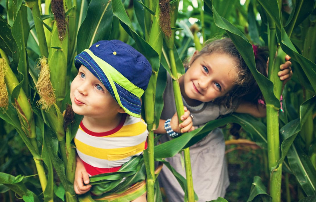 Canadian Meat Processors